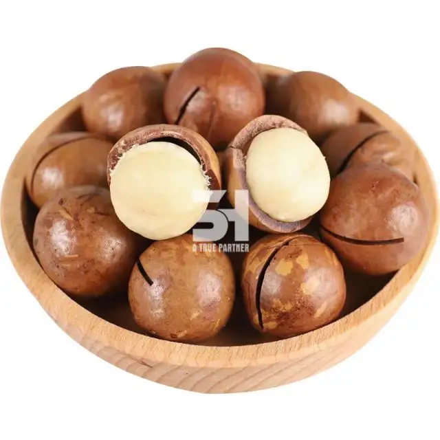 Best Seller 2022 Dried Macca Nuts Exporter Viet Nam cheap price Contact  Ms.Nancy +84 981 85 90 69