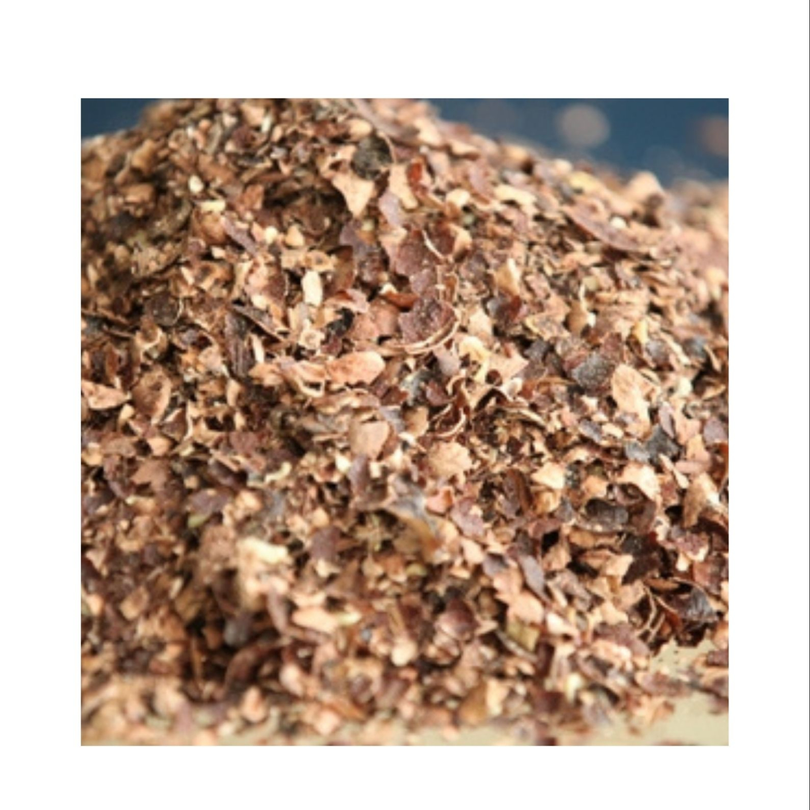 CASHEW SHELL/ CASHEW HUSK - AGRICULTURAL WASTE / ANIMAL FEED - MADE IN VIETNAM WHOLESALE CHEAPEST PRICE