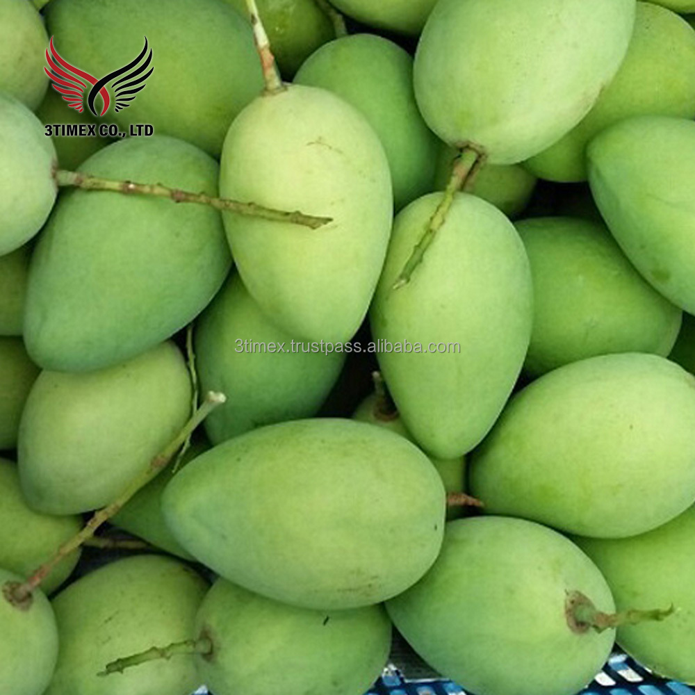 Premium Quality 100% Natural Taste Sweet Fresh Green Cat Chu Mangoes from Vietnam Fresh Fruits
