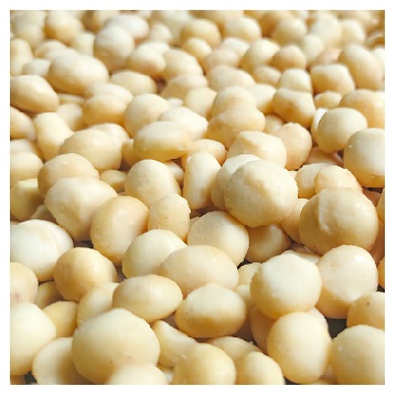 COMPETITIVE CHEAP PRICE FOR BEST QUALITY BETEL NUTS / PEANUTS AND BRAZIL NUTS AVAILABLE FOR EXPORT