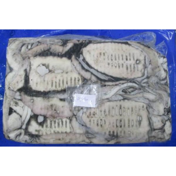 Замороженный морской шлёнок