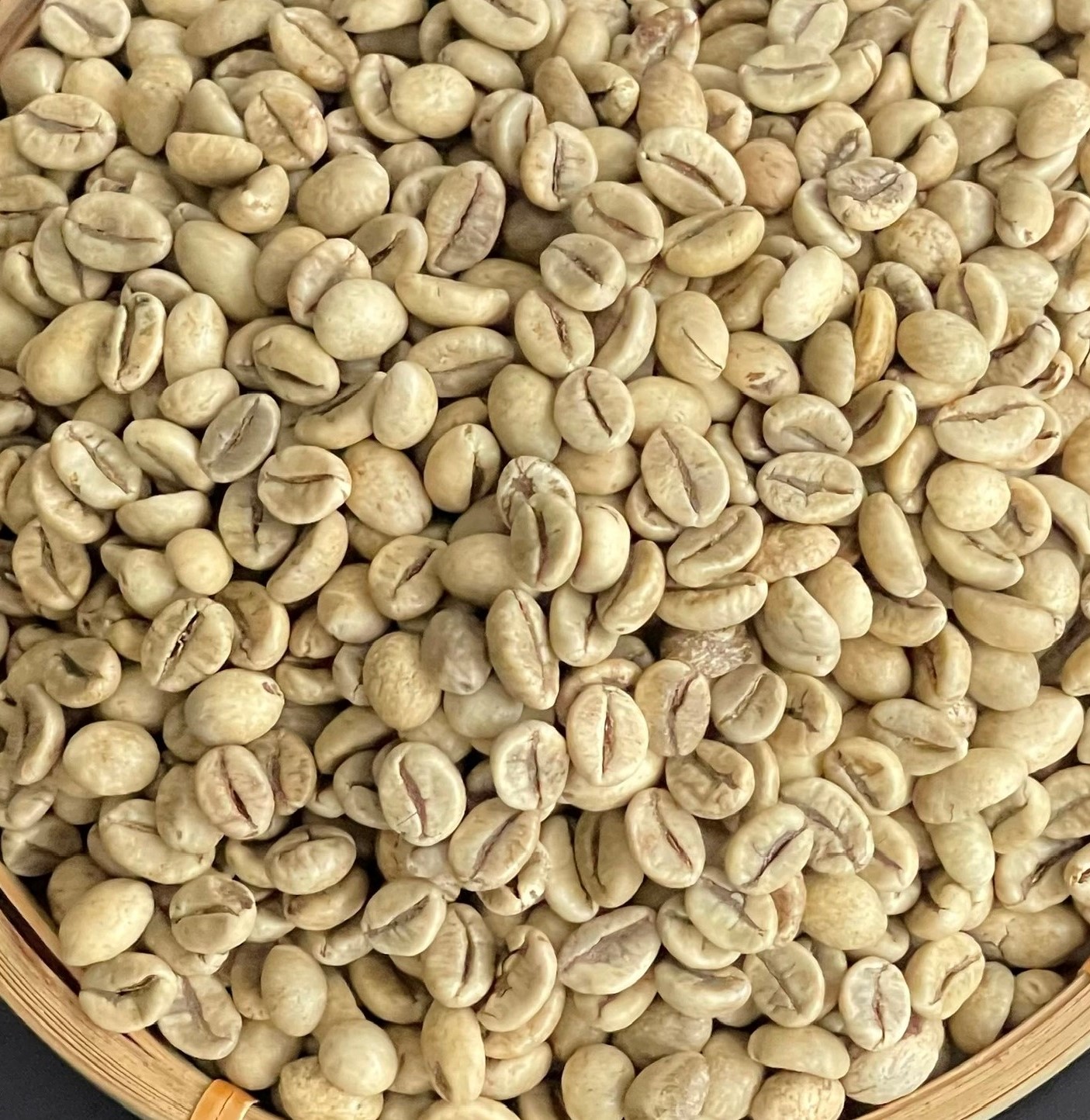 Hot Sale Robusta and Arabica Green Roasted Raw Coffee Beans WhatsApp +84 976727907 Ms. Carolina