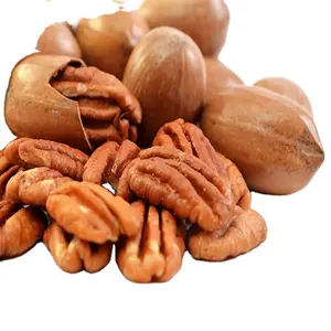 Semi-Soft 100% Natural First Quality Roasted Salted pecans nuts with shell pecan nuts raw