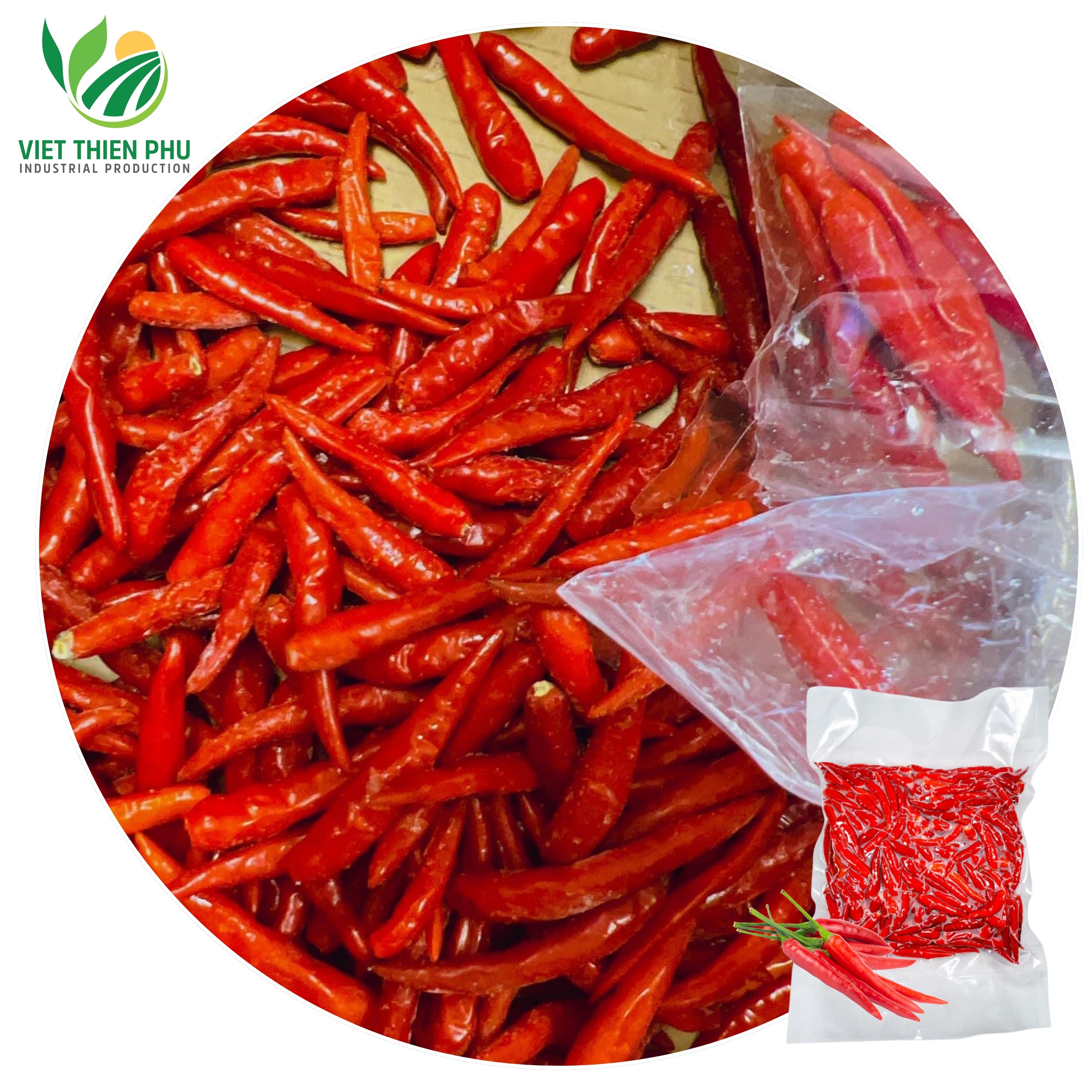 VIET THIEN PHU VTP/OL-38 Best Price Hot Chili With High Quality - Red Chili from Vietnam - Frozen Red Chili