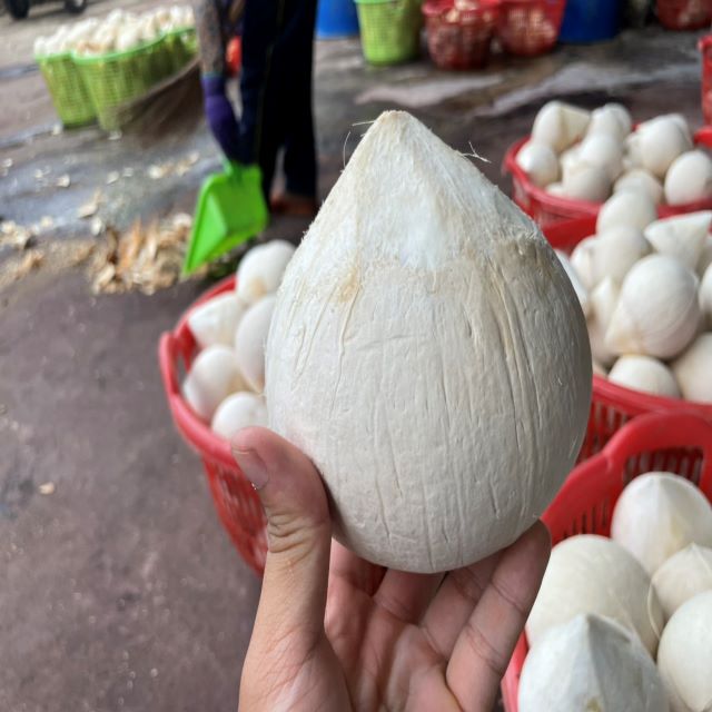 Конический кокос для здорового экспорта, Органическая ферма, Полиэтиленовая упаковка, вьетнамская торговля