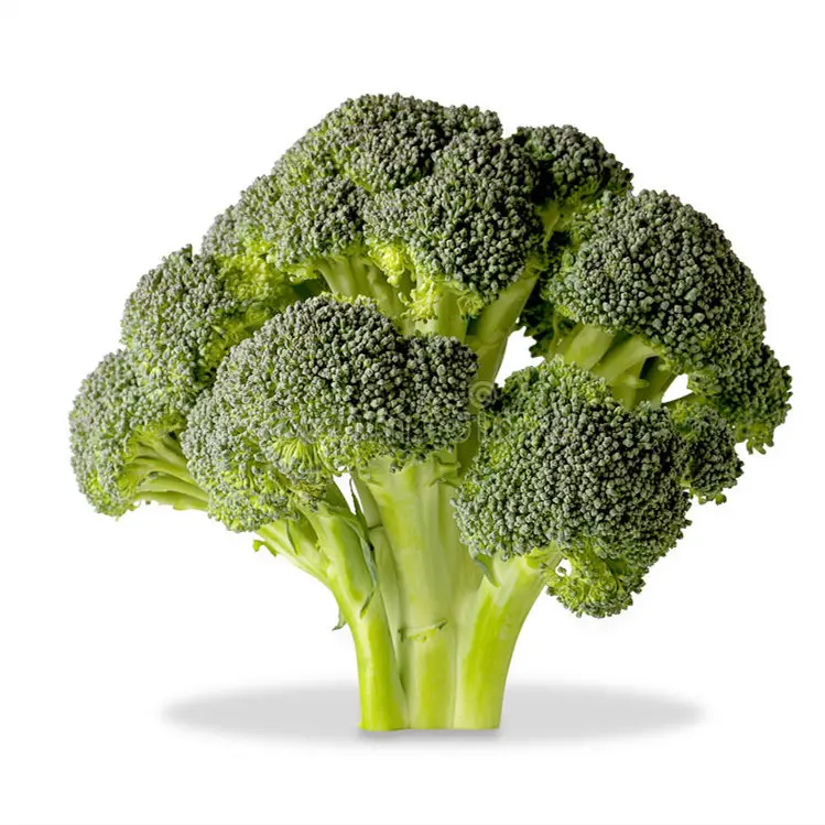 100% Fresh BROCOLI Exporters of Natural Vegetable fresh broccoli steamed broccoli