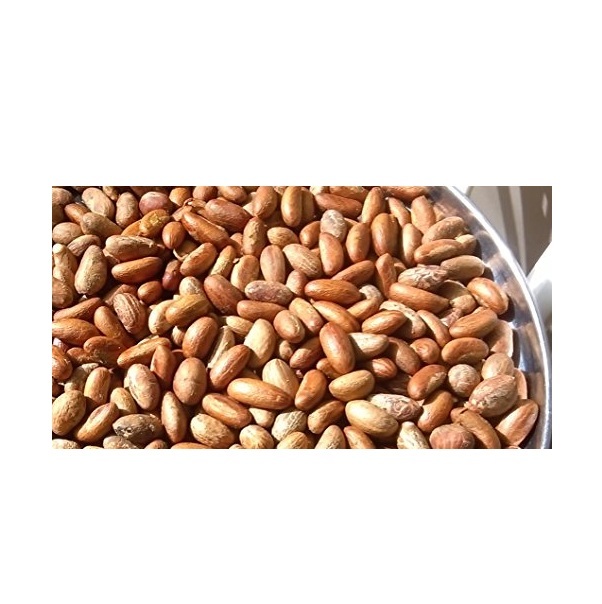 Healthy Garcinia Kola(Bitter Kola) / Fresh Dried Bitter Kola/ Bitter Kola Nuts Powder