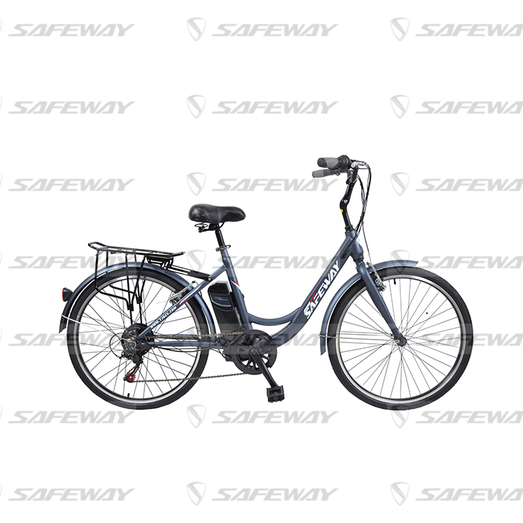 250 Вт карго Электрический велосипед спортивный EBike Бесщеточный мотор-редуктор съемный водонепроницаемый большой емкости e велосипед, e велосипеды