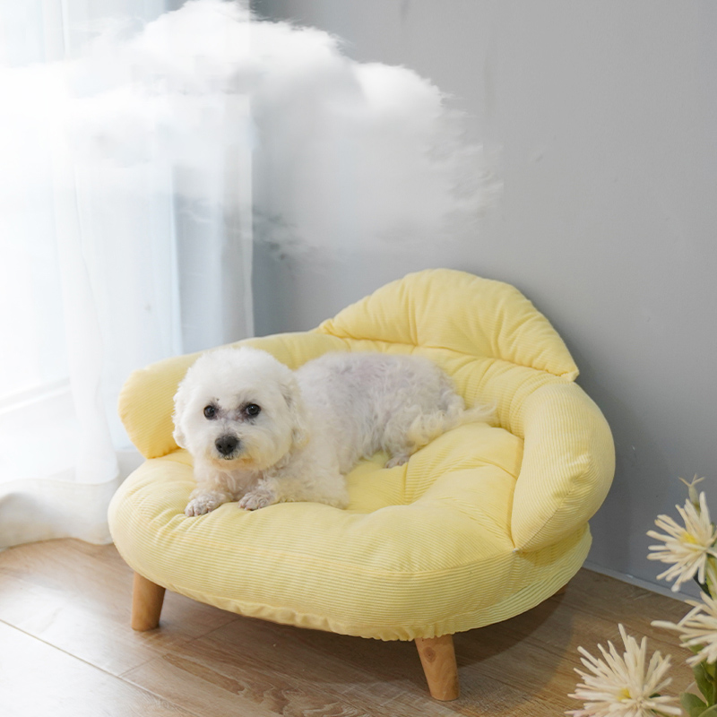 Original factory design new arrival OEM accept four seasons wood leg and board dog cat soft sofa bed with fast delivery