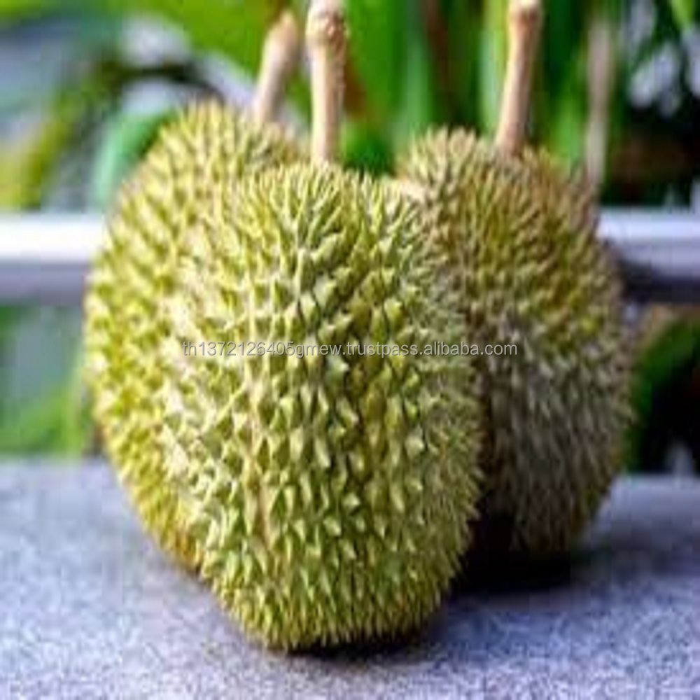 Fresh Durian Premium Grade