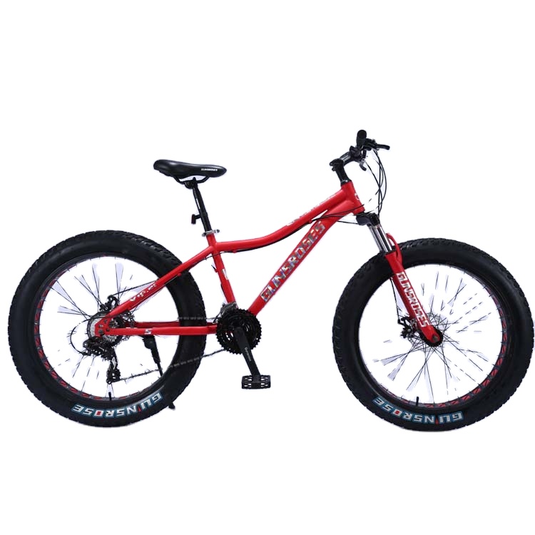 2021 New High Quality Fat Tire Steel 24/26 Inch Snow Bike