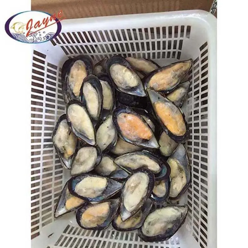 New product launch in market new zealand frozen green mussel shell meat