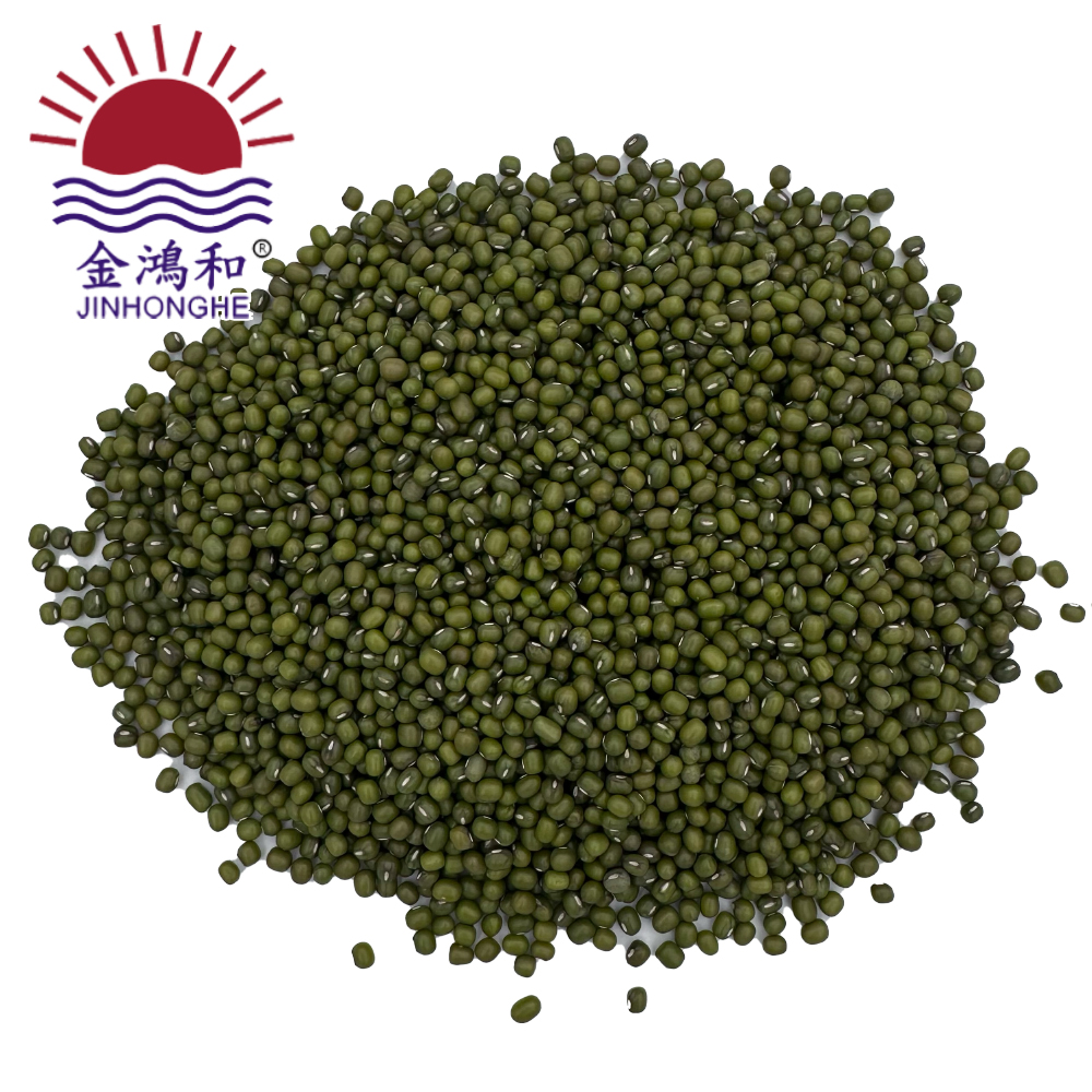 Factory Wholesale China 100% Pure Natural Legumes No Added Green Sprouts Bulk Sprouts