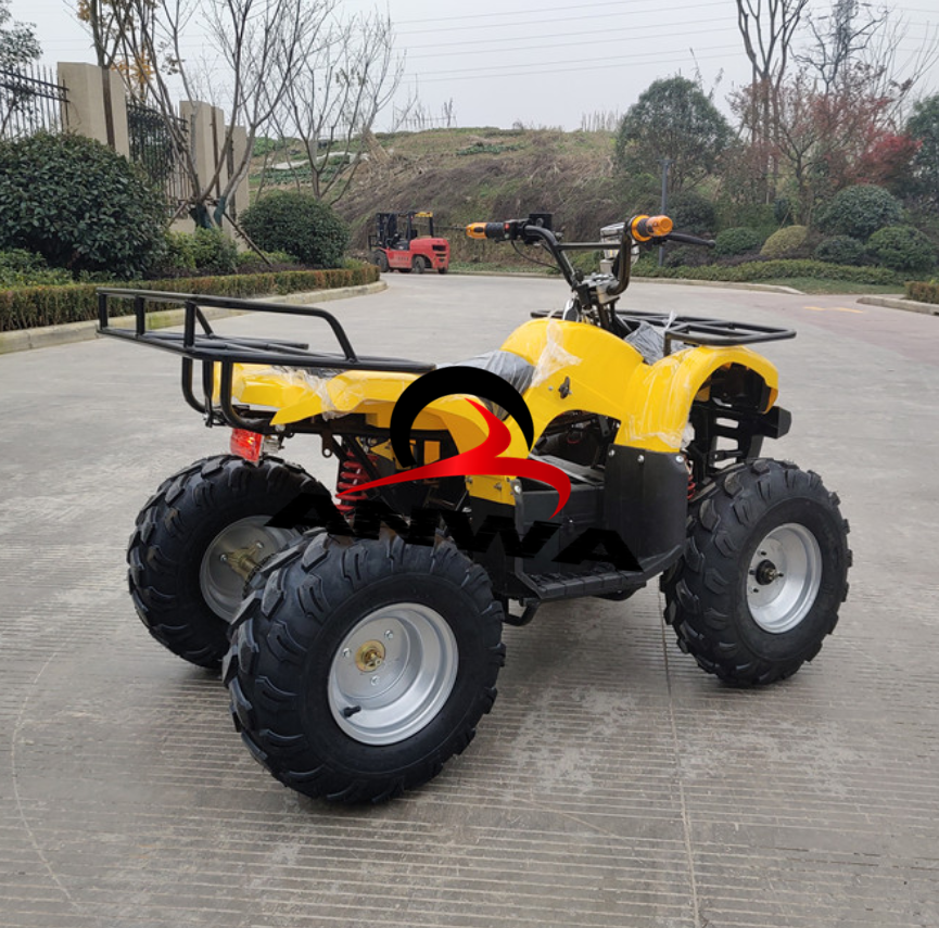 2019 Дети Мини 1000W 48V Электрический квадроцикл 4 колеса велосипеда quad