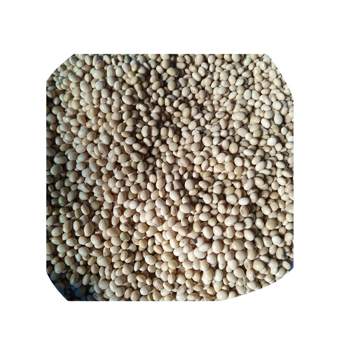 Supply high quality Low Impurity non GOM soybean seed with above specification from BENIN WEST AFRICA