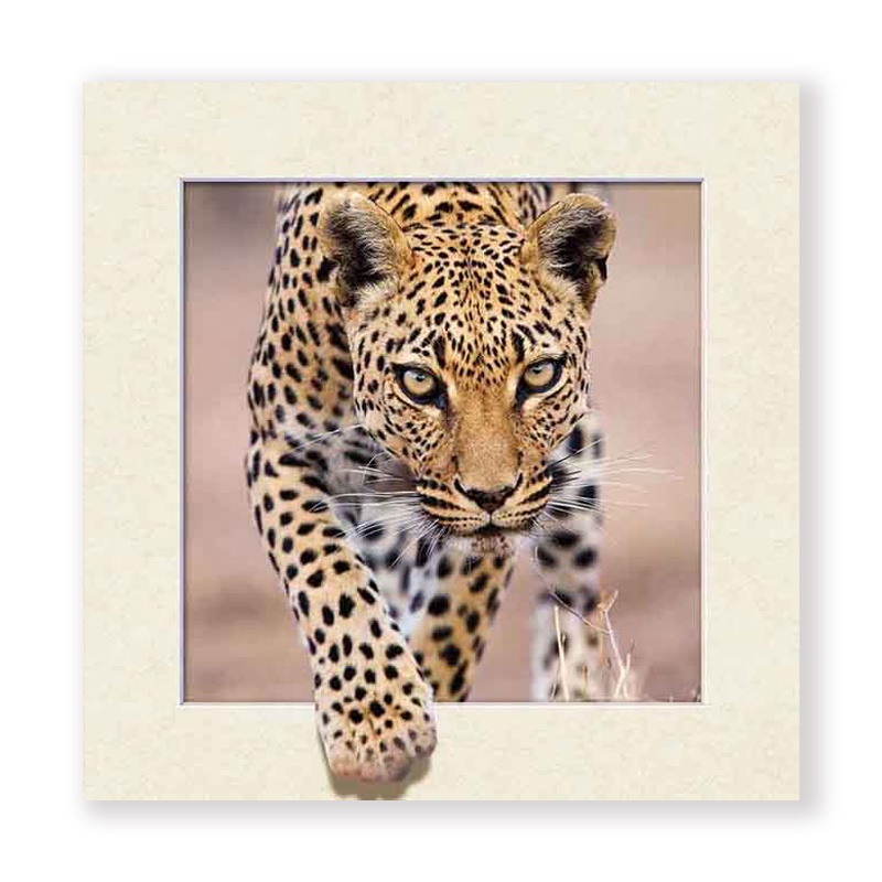 Оптом в наличии Высокое качество PP PET 40*40 см 5D 3D lenticular постер картина с бумажной доской Рамка для украшения дома