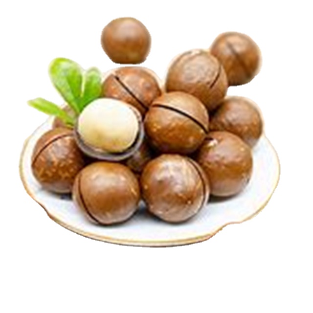 Фрукты макадамии Jumbo, оптовая продажа, вкус крема, сушеные фрукты, закуска