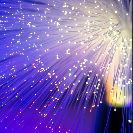 Rayera luminescence High Quality Fiber-Optic Lights Hid Net-lamp for Outdoor tree skin Decoration
