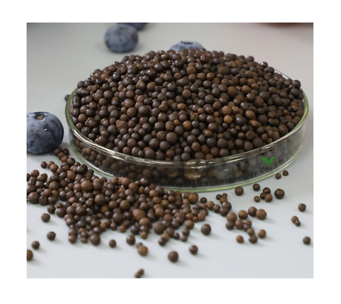Low price!The high quality fish fertilizer organic bacterial fertilizer pricing