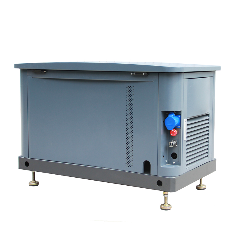 НГ сжиженного газа, бесшумные 1 3-х фазный генератор производство 10KW 12KVA электрический генератор природного газа