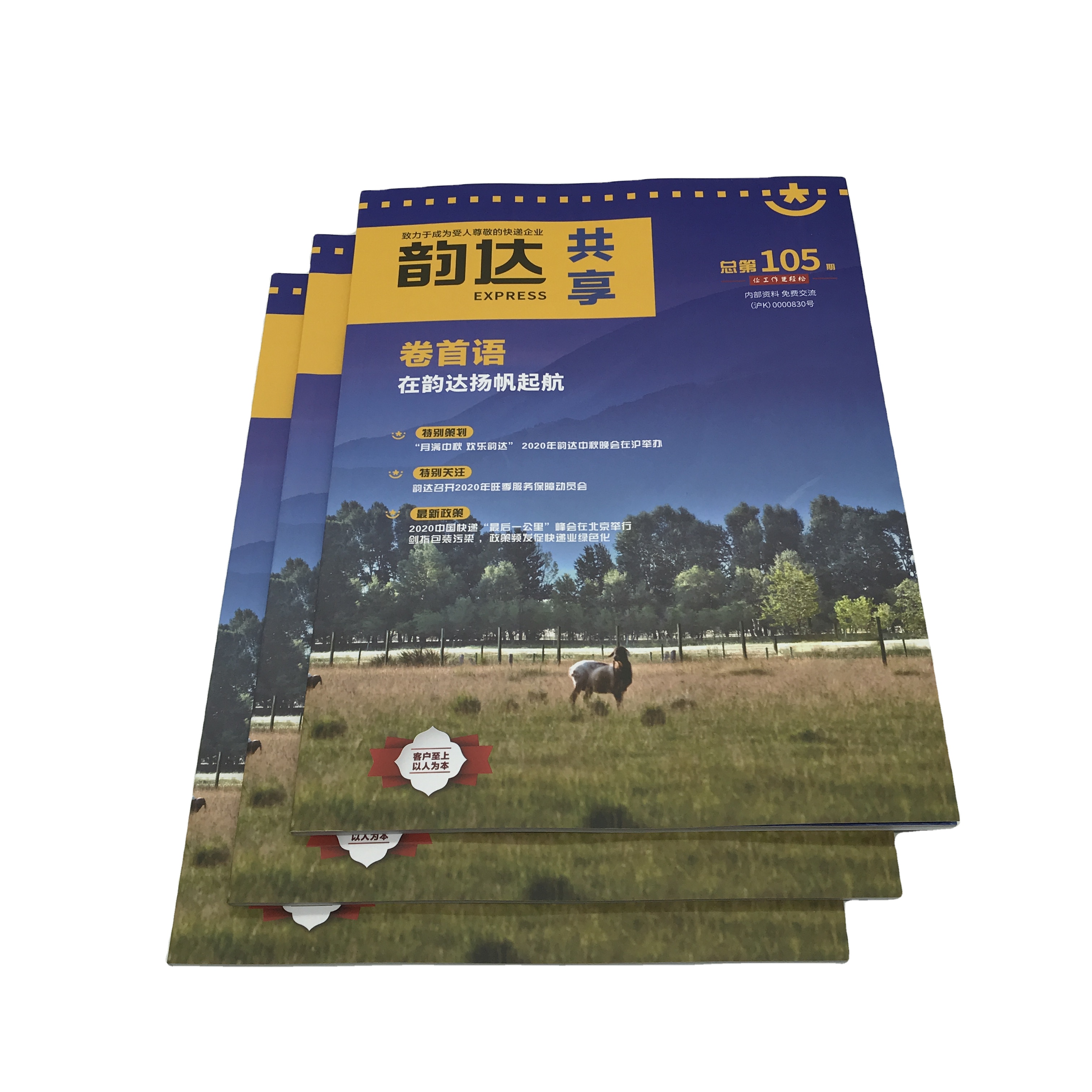 SM-ZZ001 по индивидуальному заказу A4 жесткий и в твердом переплете книги/Брошюра/Журнал/печать брошюр сервис