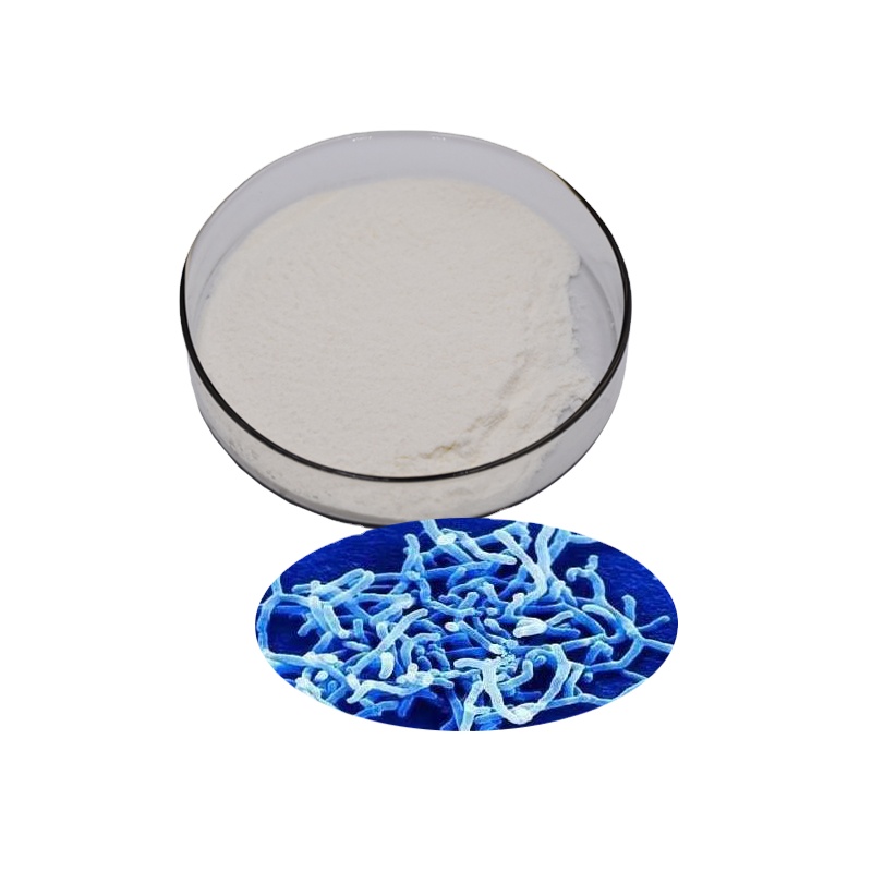 Pyson Bifidobacterium Lactis Probiotics for Healthcare Nutrition Supplement Regulate Gastrointestinal