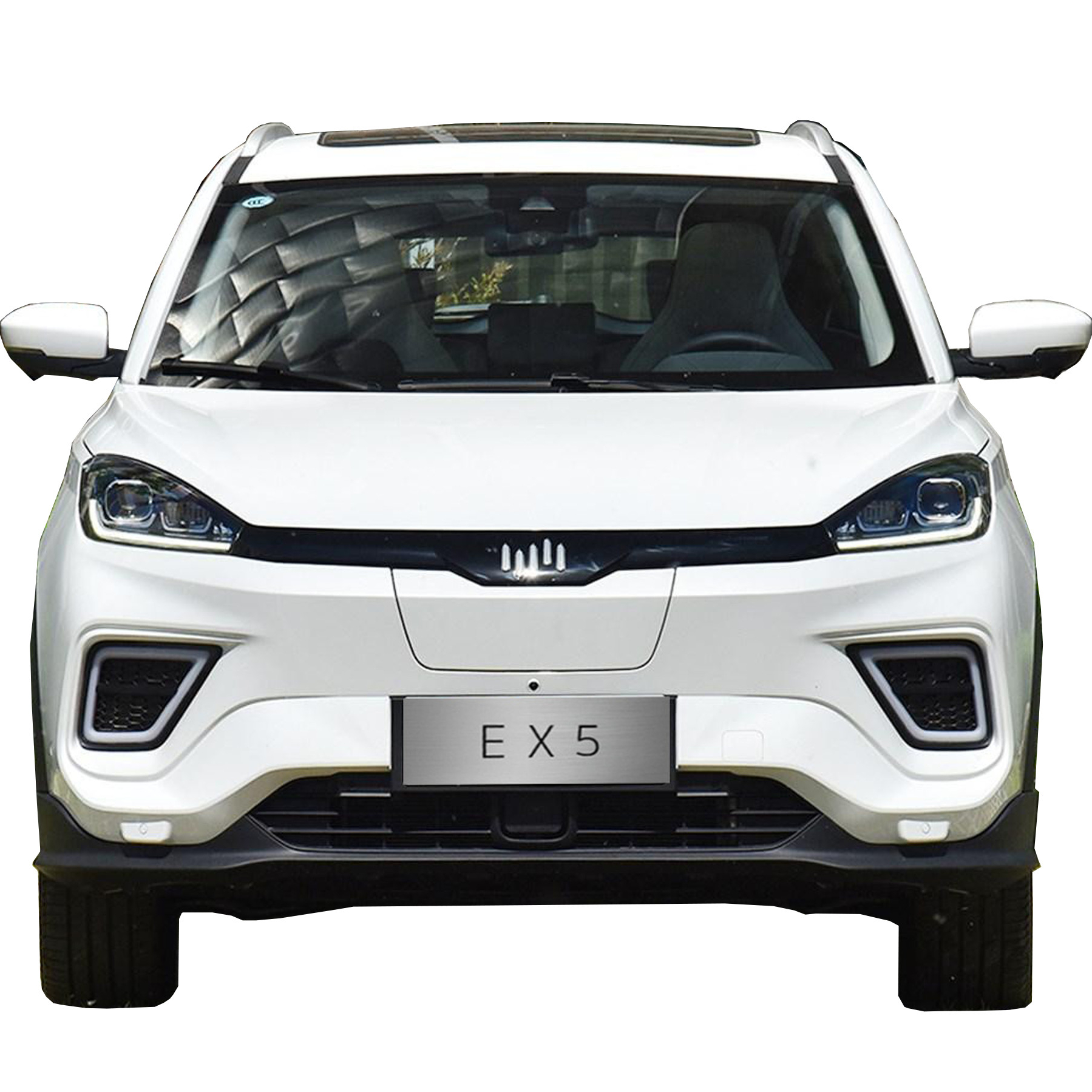LHD WM EX5 NEDC 400 км 520 км умный городской внедорожник 5 сидений 5 дверей 4x2 2WD электрический автомобиль для частного автомобиля