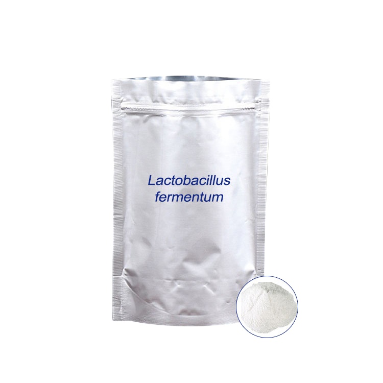 Lactobacillus fermentum HH-LF39 20 млрд cfu/g пробиотики в порошке, саше, частная торговая марка, питание, пищевая добавка