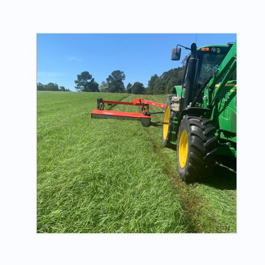 Wholesale 100% Alfalfa Hay Animal Feed Sundry High Protein