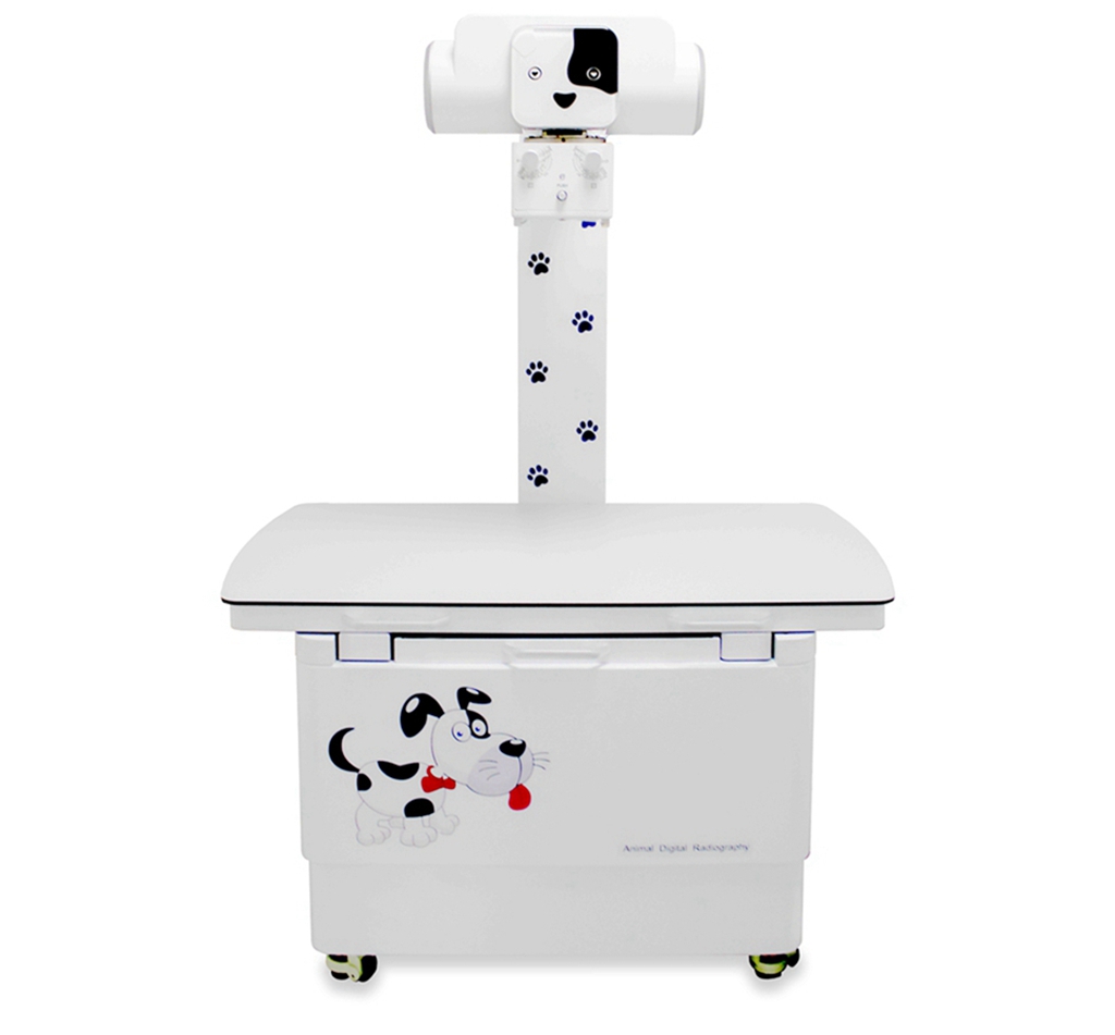 Xray Machines Digital Veterinary X-ray Machine Pet Digital Radiography X Ray Machine For Sale