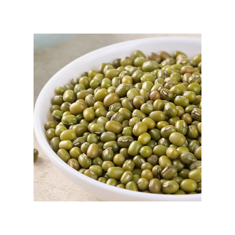 Chongqing High-quality Market Price Green Mung Beans for Sprouting