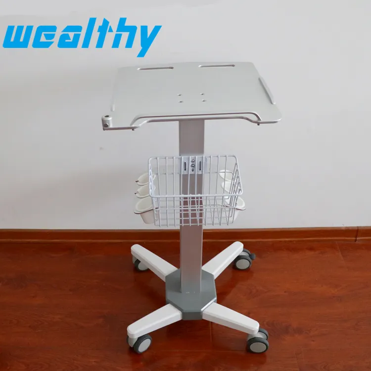 WEALTHY Aluminum Alloy Easy To Clean With Silent Brake Wheel Hospital Trolley Mobile Stand Computer Laptop Medical Trolley Cart