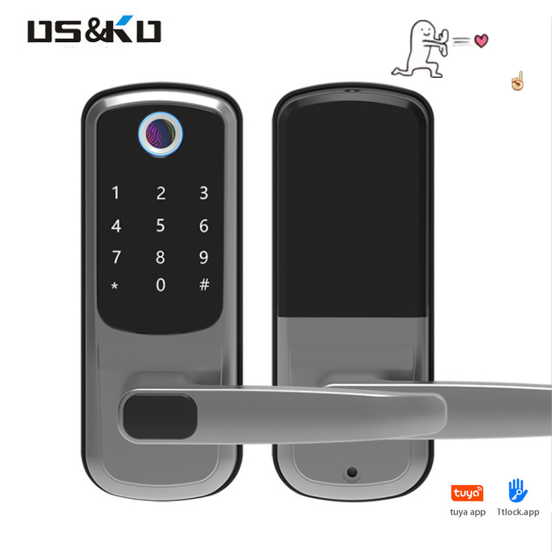 Совместимый с приложением Google home и amazon alexa безключевой Пароль отпечаток пальца wifi bt push pull цифровой смарт-замок для двери