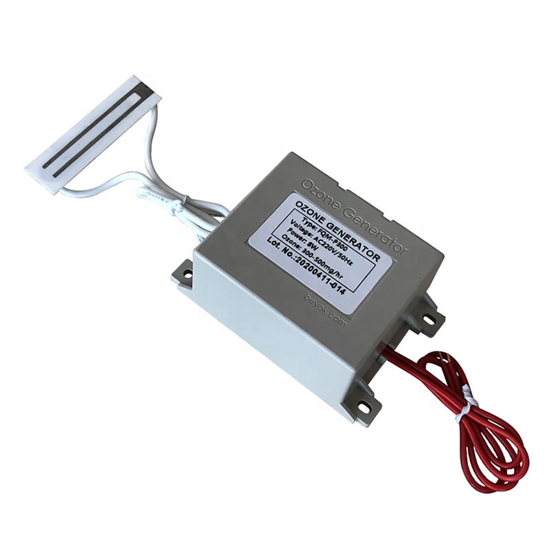 Corona Discharge Ozone Generator Air Cleaner FQM-P300