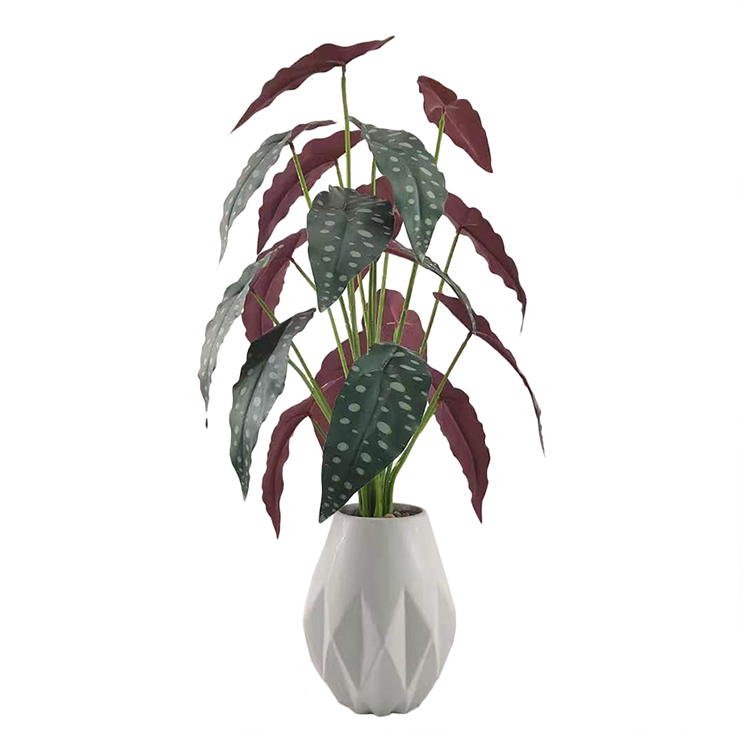 Furniture Decoration Simulation Plant For The Artificial Traveller'S Tree Or Dracaena Fragrans