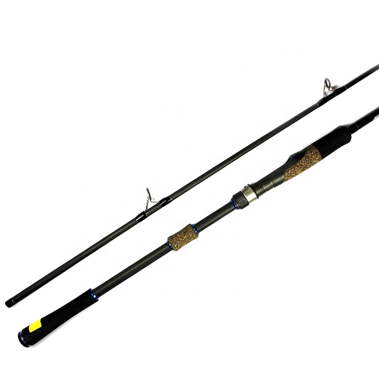 2-piece Graphite Travel Spinning Surfcasting Fishing Rod 2.1m-3.0m Fishing Rod Tools