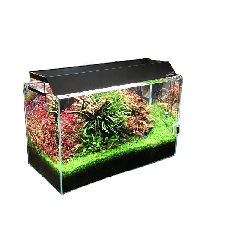 WRGB2 App Control Water Grass Lamp Fish Tank Grass Tank Landscape Lamp