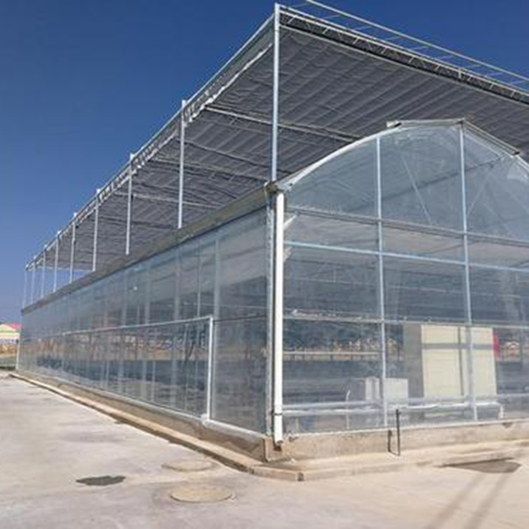 Best Selling Multi-Span Agricultural uv treated plastic film greenhouse