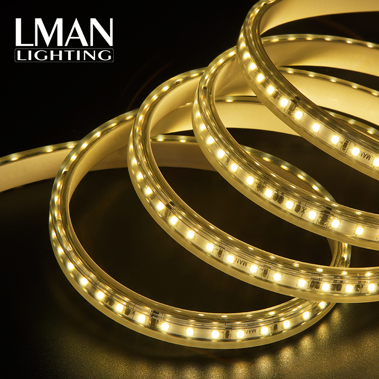 Customization 10cm/cut High Voltage PVC Rope Light With IC Design 2835 IP65 Waterproof 8MM Width Led Strip