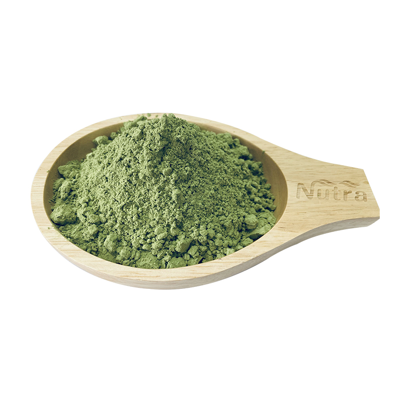 Good Quality 100% Pure cucumber juice powder