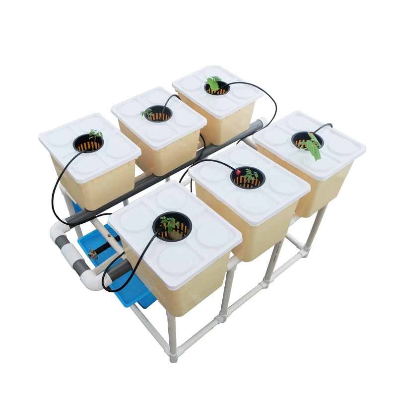 Complete Hydroponic Dutch Bucket System for growing vegetable in greenhouse Aquaponics Growing Systems