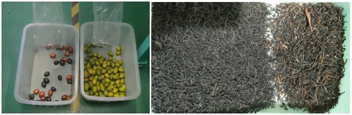 Mini multi-purpose rice grain coffee beans color sorter machine cashew pistachio optical sorting and grading machines