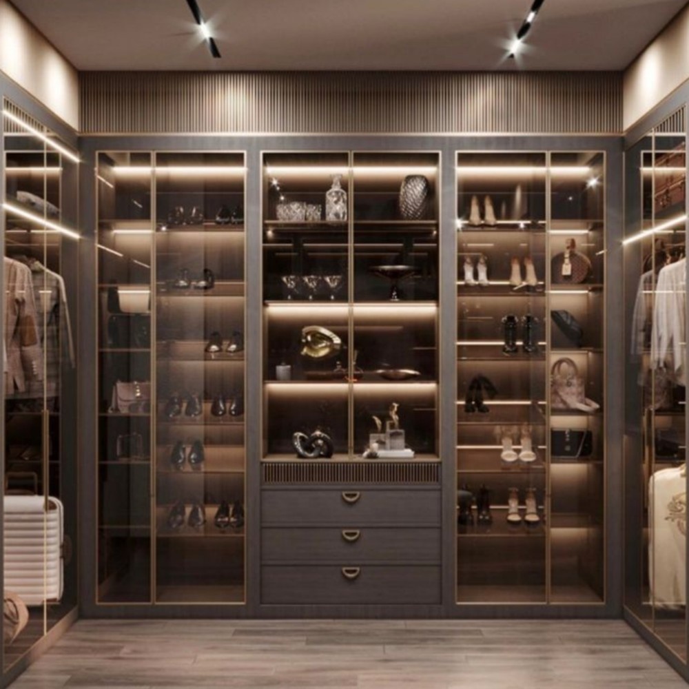 Modern Metal and Glass Wardrobe Closet with MDF Door Storage Solutions for Home