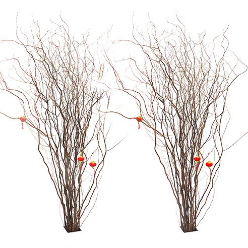 Dried natural curly willow branch stem, decorative real tree twig spray branches, 46 inch length 118 cm