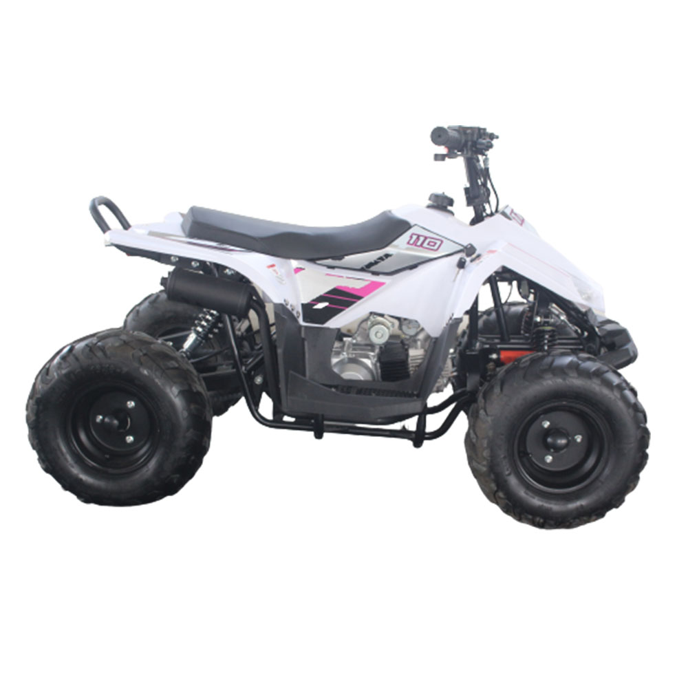 Недорогие автомобили с газовым двигателем 49cc mini quad atv для детей