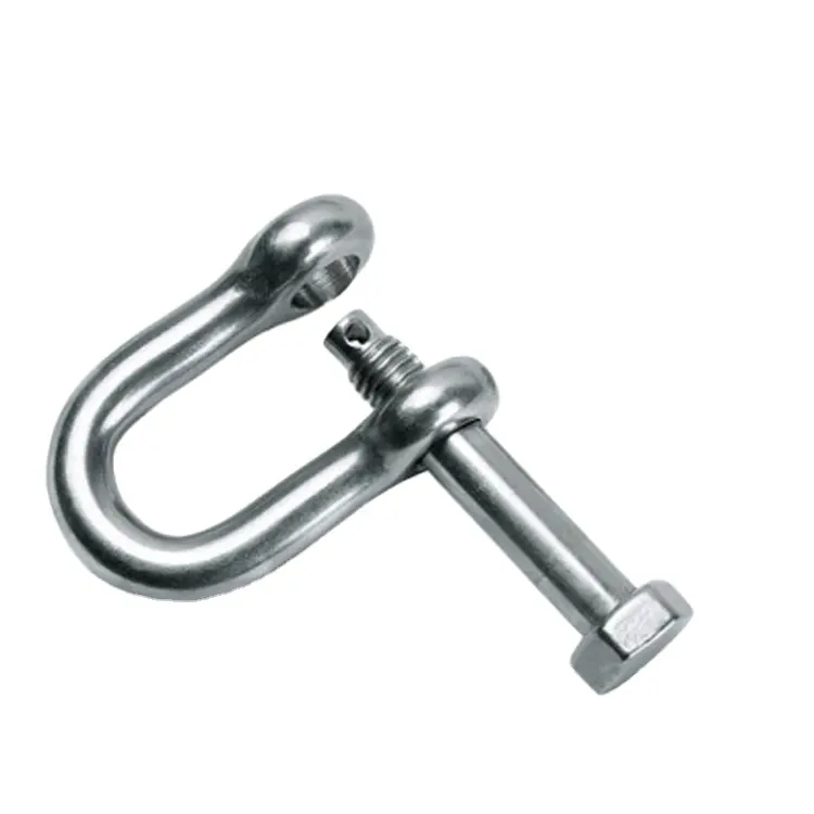 High quality stainless steel d type Shackle