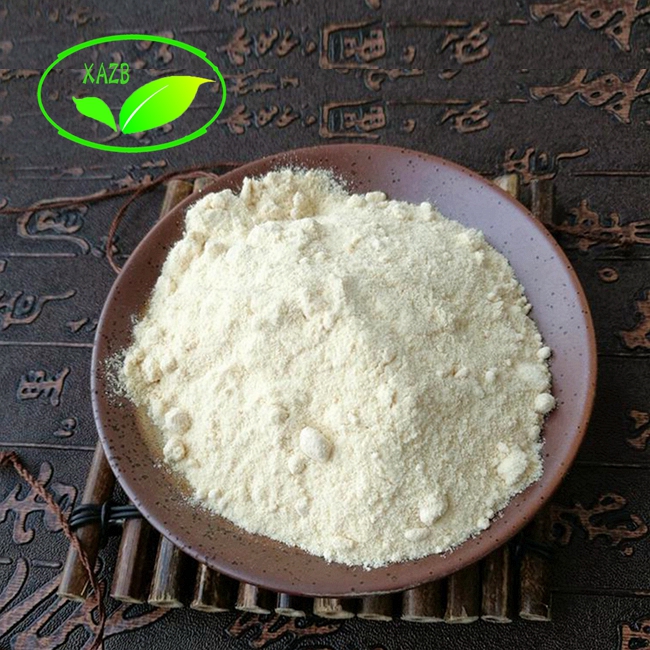 Nutrion Supplement Docosahexaenoic Acid / DHA Powder for Brain