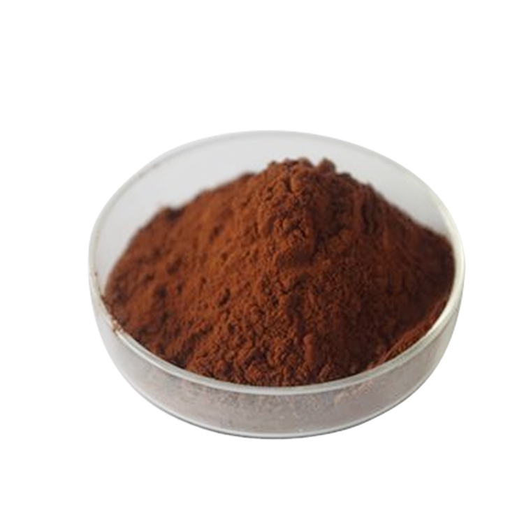 Hot Selling Plant Extracts Oligomeric Proanthocyanidins/ Opc/ Procyanidins Grape Seed Fruit Extract