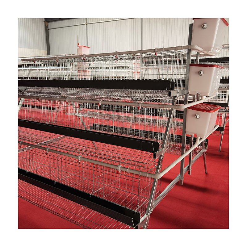 Poultry Farm Automatic Chicken Layer Battery Cages