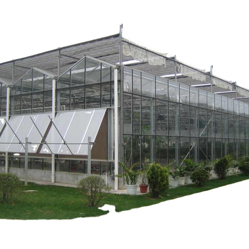FM Automated Vertical Hydroponic Growing System Agriculture Equipment With Smart Glass Greenhouses for Planting Leaf Vegetables